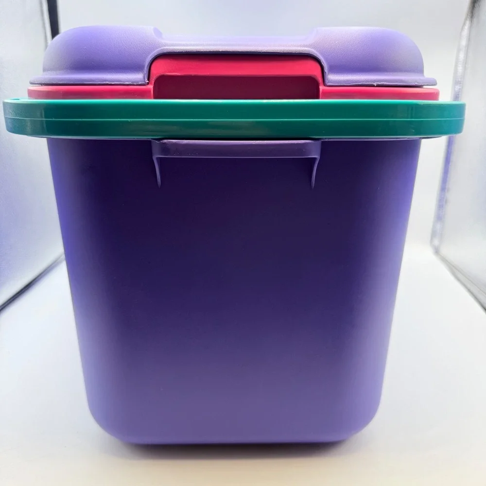 Vintage Eagle Purple Pink Teal Storage Chest with Tray 90s Retro Organizer